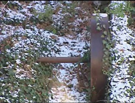 Στο δημοτικό συμβούλιο και πάλι οι ιστορικοί μύλοι Παπαιωάννου στη Λιβαδειά