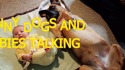 Funny dogs and babies talking - Cute dog & baby compilation