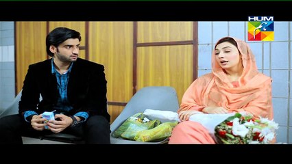Mehram Episode 23 Full HUM TV Drama Feb 19, 2015