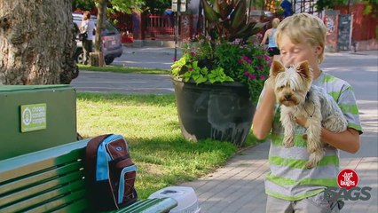 Man Soccer-Kicks Puppy