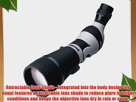 Leupold Kenai HD Angled Spotting Scope Gray/Black 25-60 x 80mm