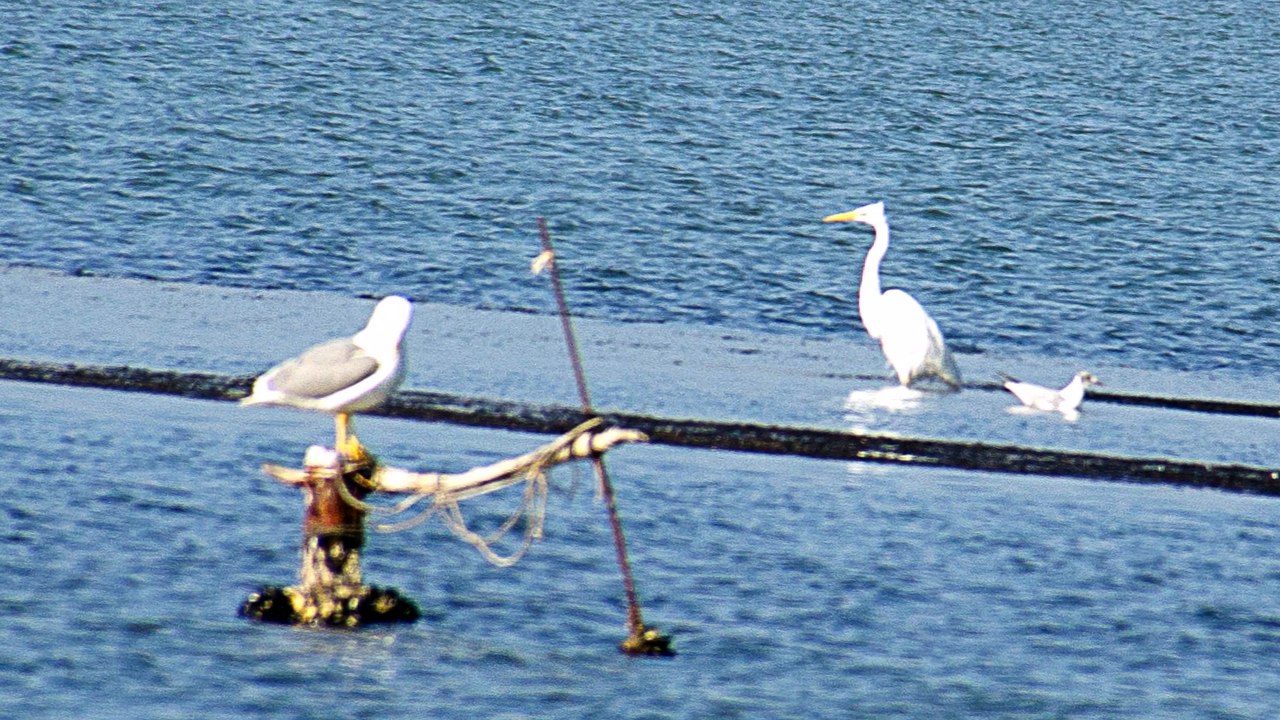 Saint-Hippolyte février 19, 2015