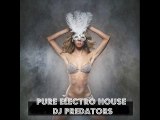 Pure Electro House - DJ PREDATORS