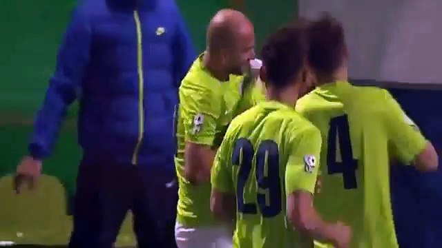 Ciucu Goal Viitorul Constanta vs CSMS Iasi 20-02-2015- Romania Liga 1