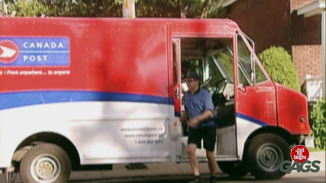 Throwback Thursday - Donkey Delivery Prank