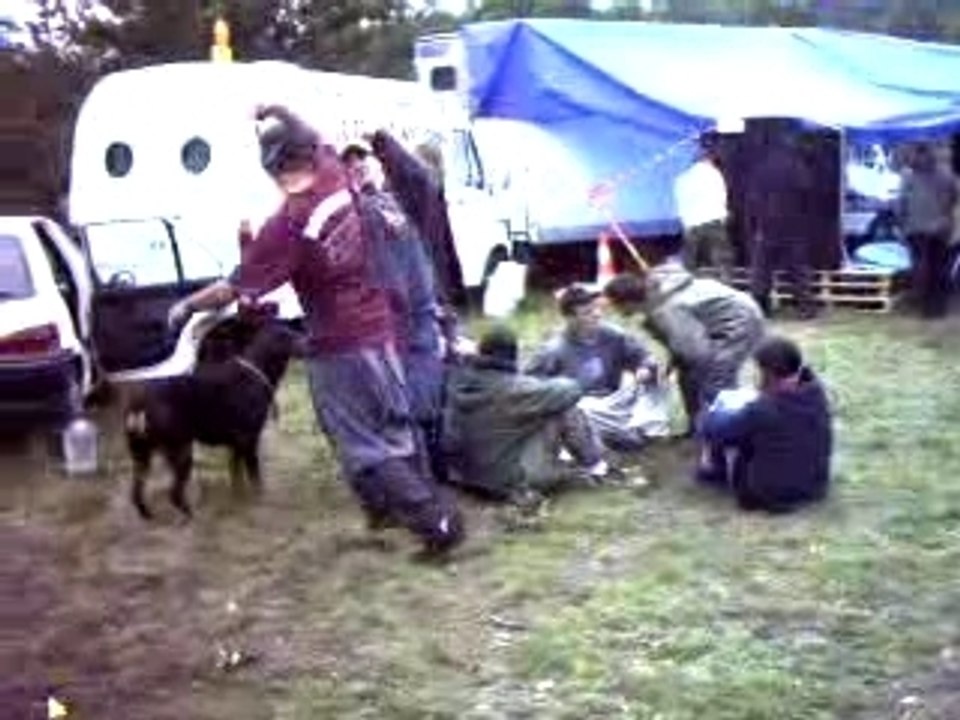 Scene de vie en teuf le matin