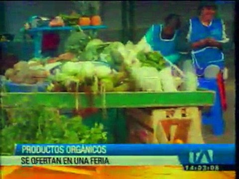 Productos orgánicos se ofertan en feria del Carchi
