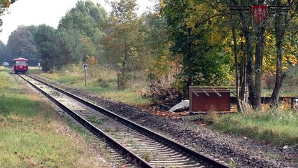 AKN-Schienenbus unterwegs zwischen Lauenburg & Dannenberg