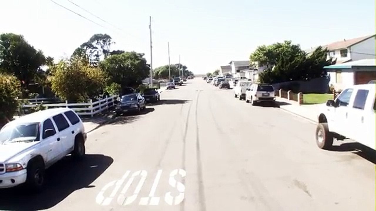 Dünyanın Gelmiş Geçmiş En Kötü 2. Filmi - Birdemic_ Shock and Terror