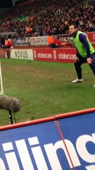 Des fans de Stoke City insultent Frank Lampard qui répond avec humour et un but !