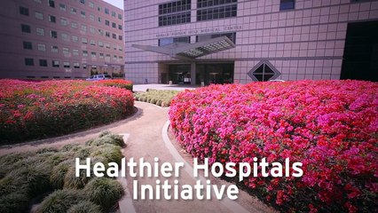 Sustainability Initiatives | UCLA Health