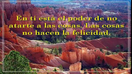 GOTAS DE REFLEXIÓN No. 9