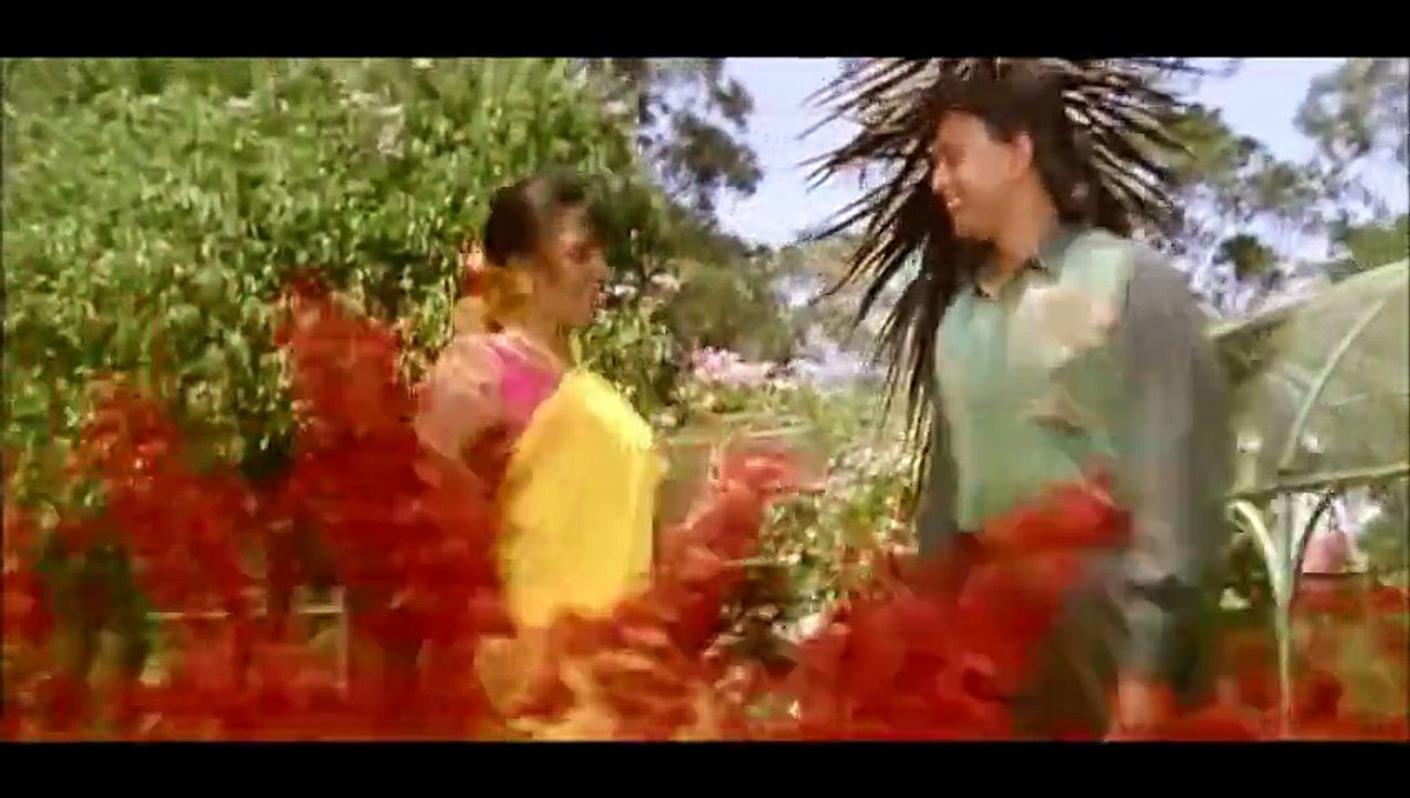 Hum Teri Mohabbat Mein (((Jhankar))) - Phool Aur Angaar (1993), song frm AHmed