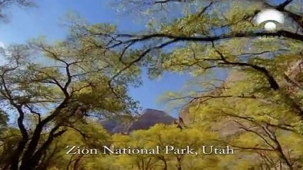 Tesouros Naturais - Odisseia