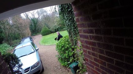 GoPro quick rescue - Owl in a living room