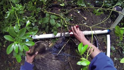 Badgers go Wild! The class of 2014 has graduated!