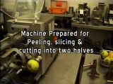 Apple Peeling and Slicing Machine
