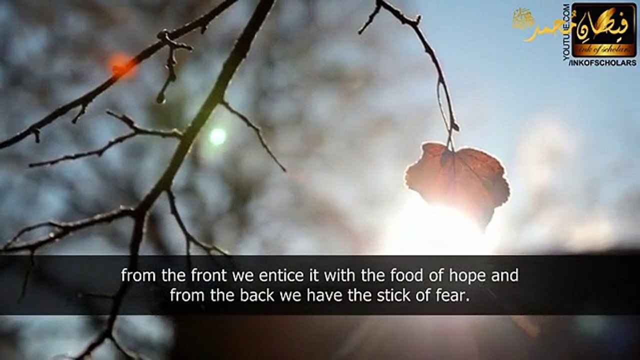 Fear   Hope