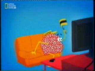 Psicologia: Coorperacion e identidad social