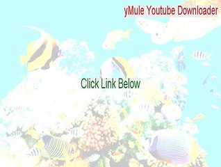 yMule Youtube Downloader Download Free (Download Here)