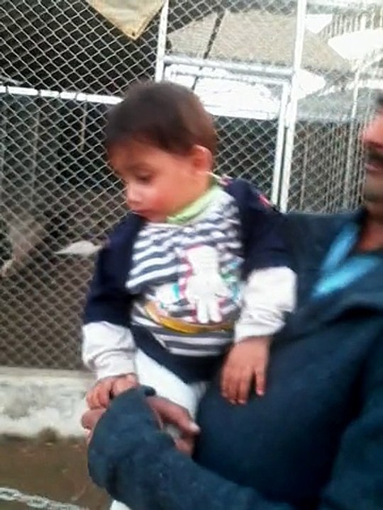 me, Muhammad and maham in zoo