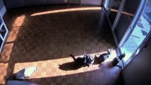 Cats Time-Lapse : kittens following the sun...