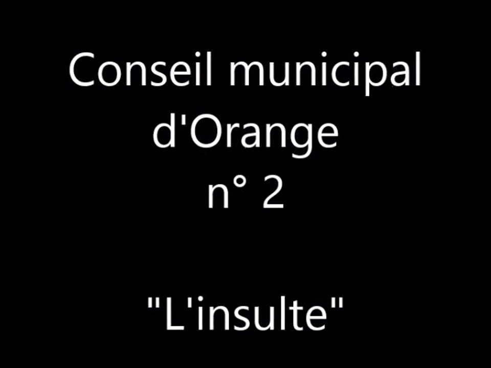 Conseil municipal d'Orange : l'insulte