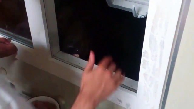 As in Russia feed the bears - Покорми медведя