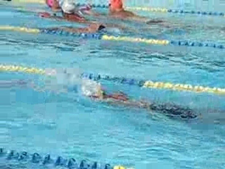 palmes NC port-marchand