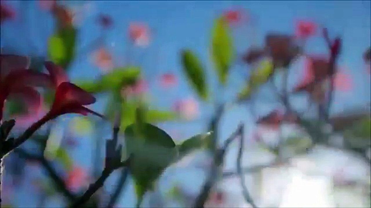 CHEAP UMRAH PACKAGES | CHEAP UMRAH PACKAGES 2015 | CHEAPEST UMRHA PACKAGES FROM UK