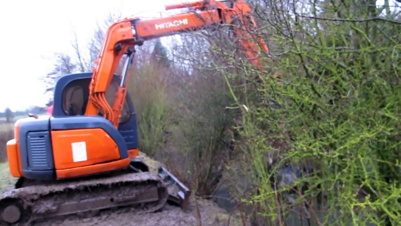 Une jument morte retirée de la Scarpe, vendredi 20 février