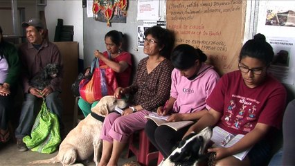 Lima's "vet of the poor" brings cheap healthcare to slum dogs