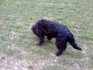 Yugi et Jaïa en balade