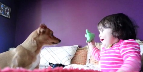 Baby Ruby Loves to Play With Her Puppy Zoe