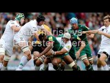 watch ((( Irish vs Tigers ))) live Rugby match 22 Feb