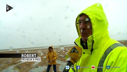 Les grandes marées et la pêche à pied font bon ménage