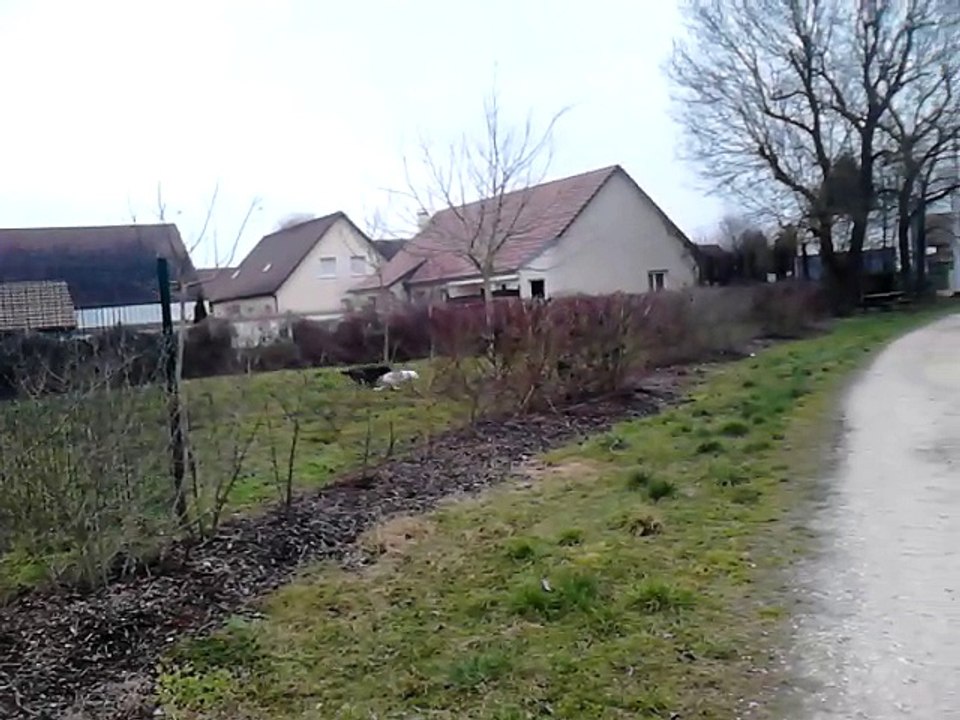 Jaïa