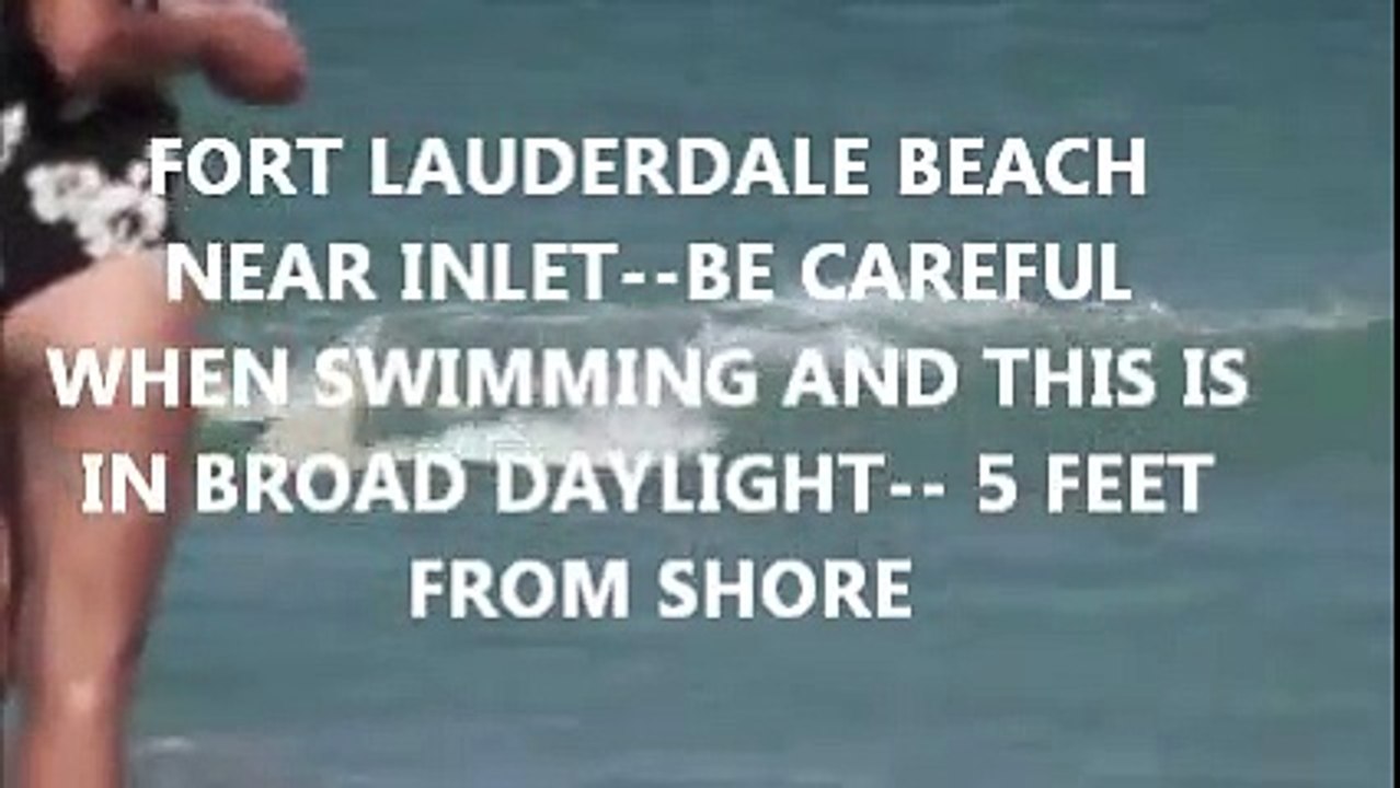 FLORIDA SHARK ATTACKS IN BROAD DAYLIGHT 5 FEET FROM SHORE FLORIDA BEACH