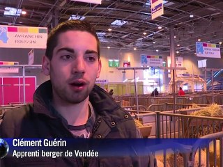 François Hollande au salon de l'Agriculture sous haute sécurité