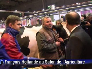 François Hollande au salon de l'Agriculture sous haute sécurité (2)