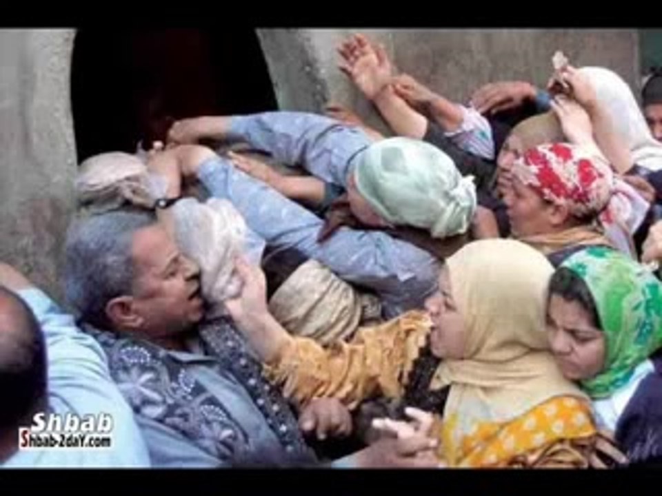 الغلابه سلطان الشيطان شاطر القلب الميت قبيحة والأسد برعايه كريم حريقه