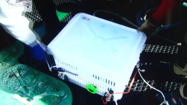 Finlande: une brasserie fait renaître une bière vieille de 1843