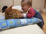 Bebek Kedinin Kuyruğunu Isırınca Kedinin Tepkisi