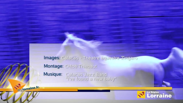 Calacas- Théâtre équestre Zingaro - Bartabas