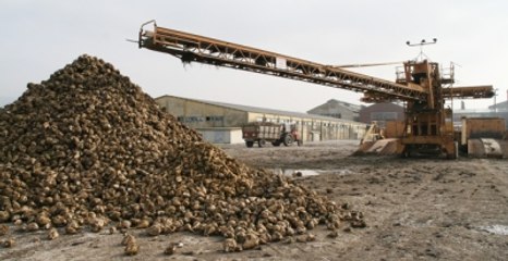 Susurluk Şeker Fabrikası Yeniden Faaliyete Geçirildi