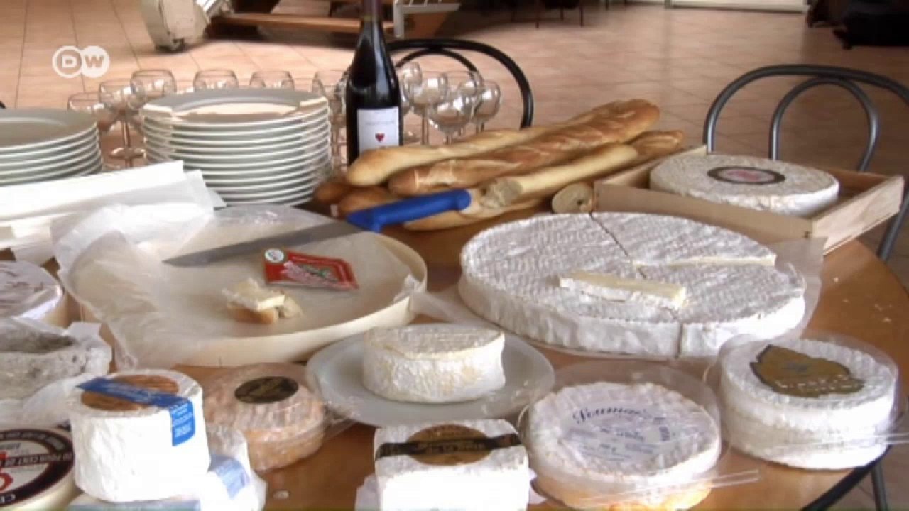 Frankreichs Käsehersteller leiden unter Sanktionen | Wirtschaft kompakt