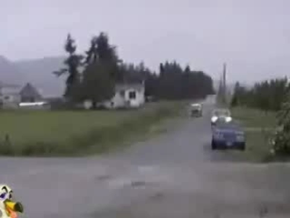 crash Crazy-VW