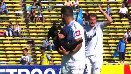Cachorro invade campo em partida do Campeonato Argentino