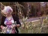 Funny Spoof on the Corn Field Killer During Fall Harvest - Halloween Season - Jolean Does it!