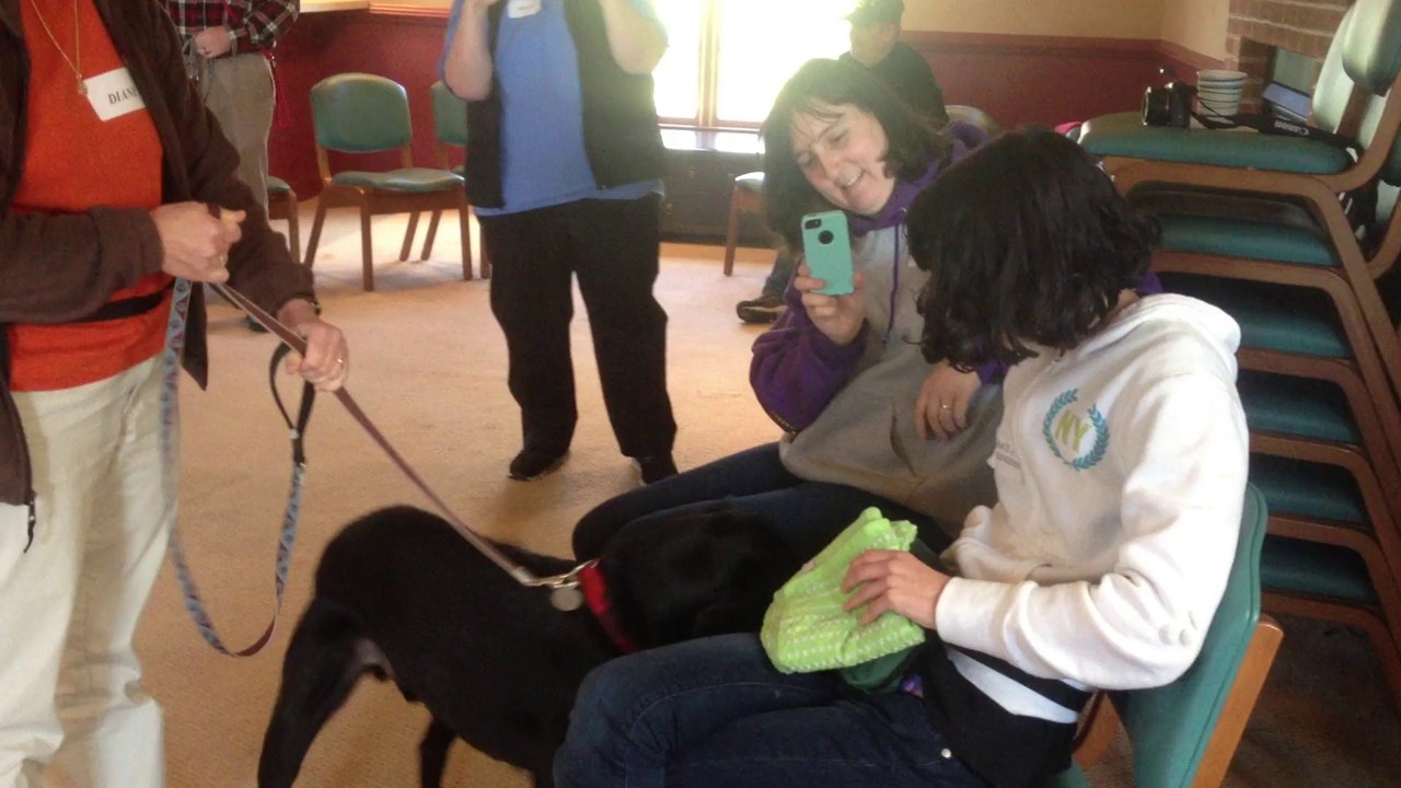 Susquehanna Service Dogs' Team Training: Learning to Work Together
